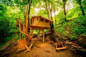 Treehouse pod Jestedem